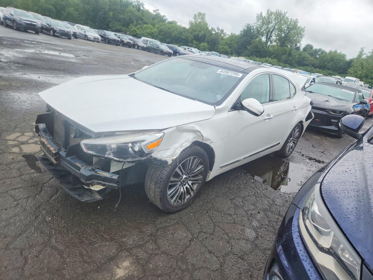 2016 KIA CADENZA LUXURY