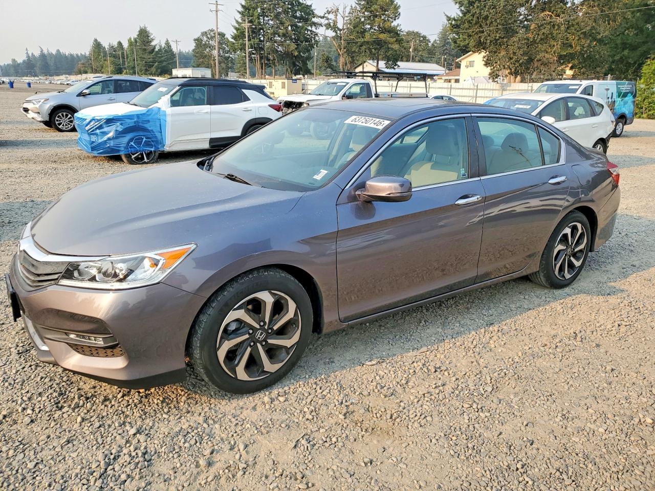 2016 HONDA ACCORD EX
