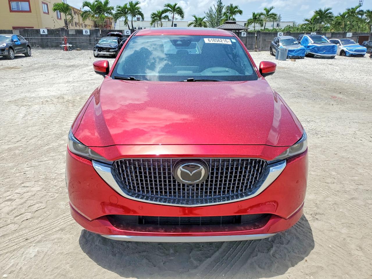 2025 MAZDA CX-5 SIGNATURE — снимка 5