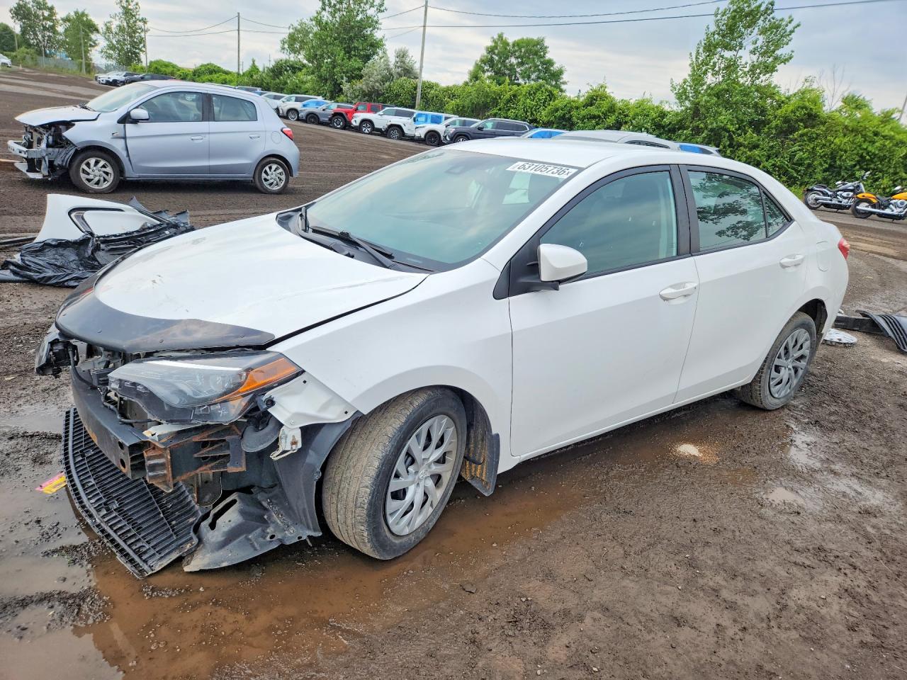 2019 TOYOTA COROLLA L