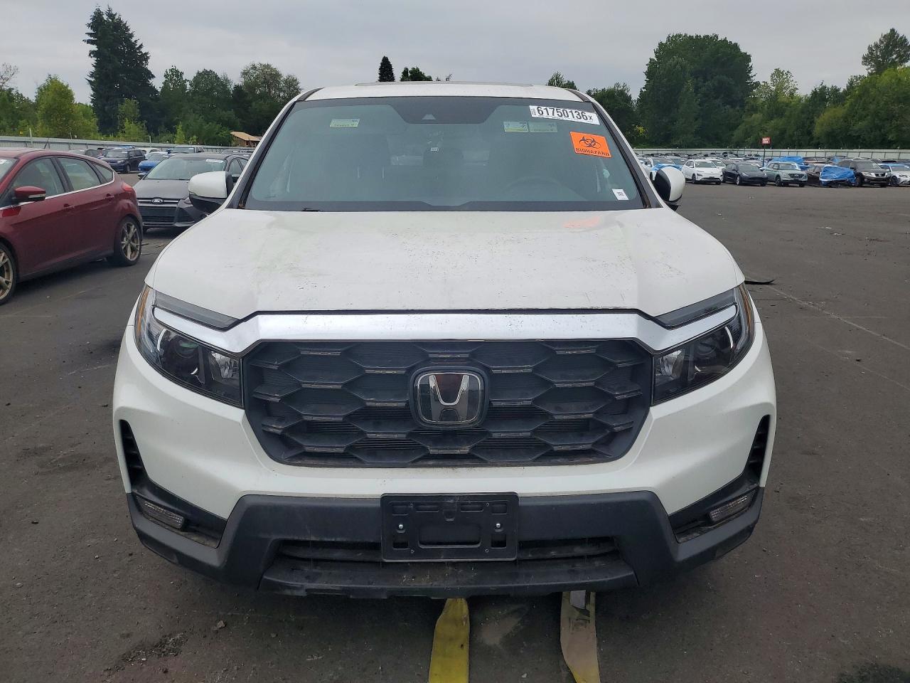 2024 HONDA PASSPORT EXL — снимка 5