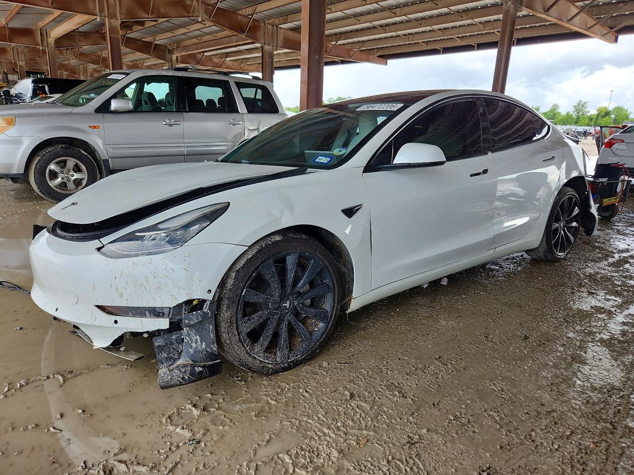 2019 TESLA MOD