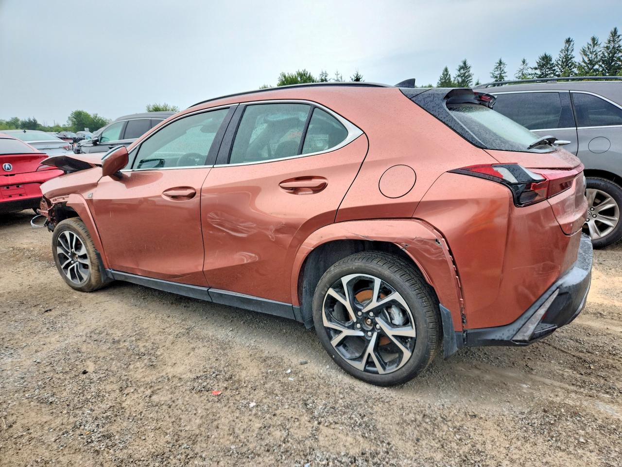 2025 LEXUS UX 300H BASE — снимка 2