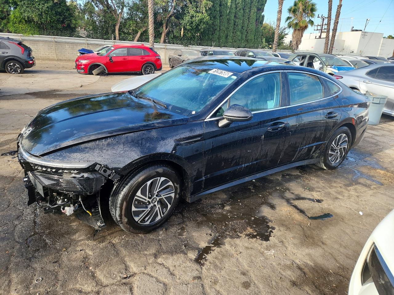 2026 HYUNDAI SONATA HYBRID BLUE