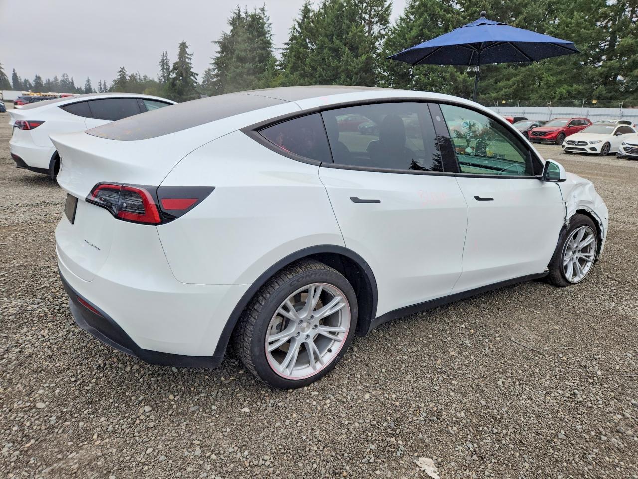 2023 TESLA MODEL Y — снимка 3