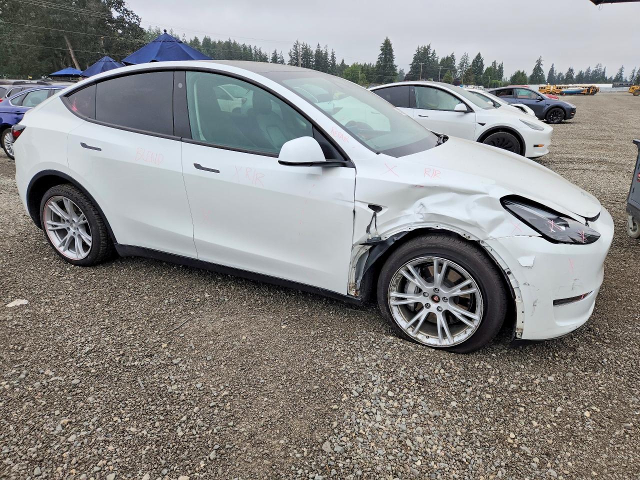 2023 TESLA MODEL Y — снимка 4