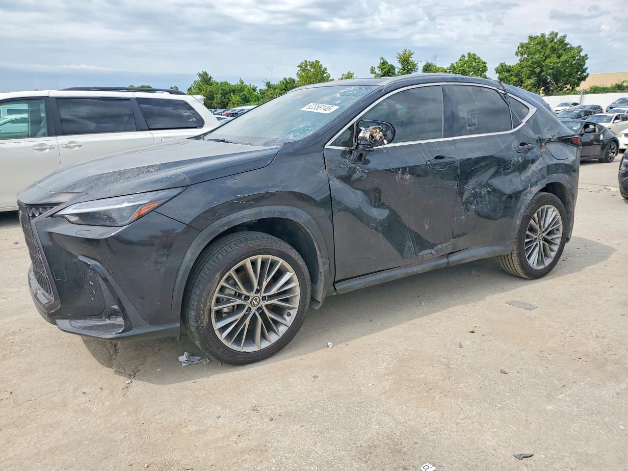 2026 LEXUS NX 350 LUXURY