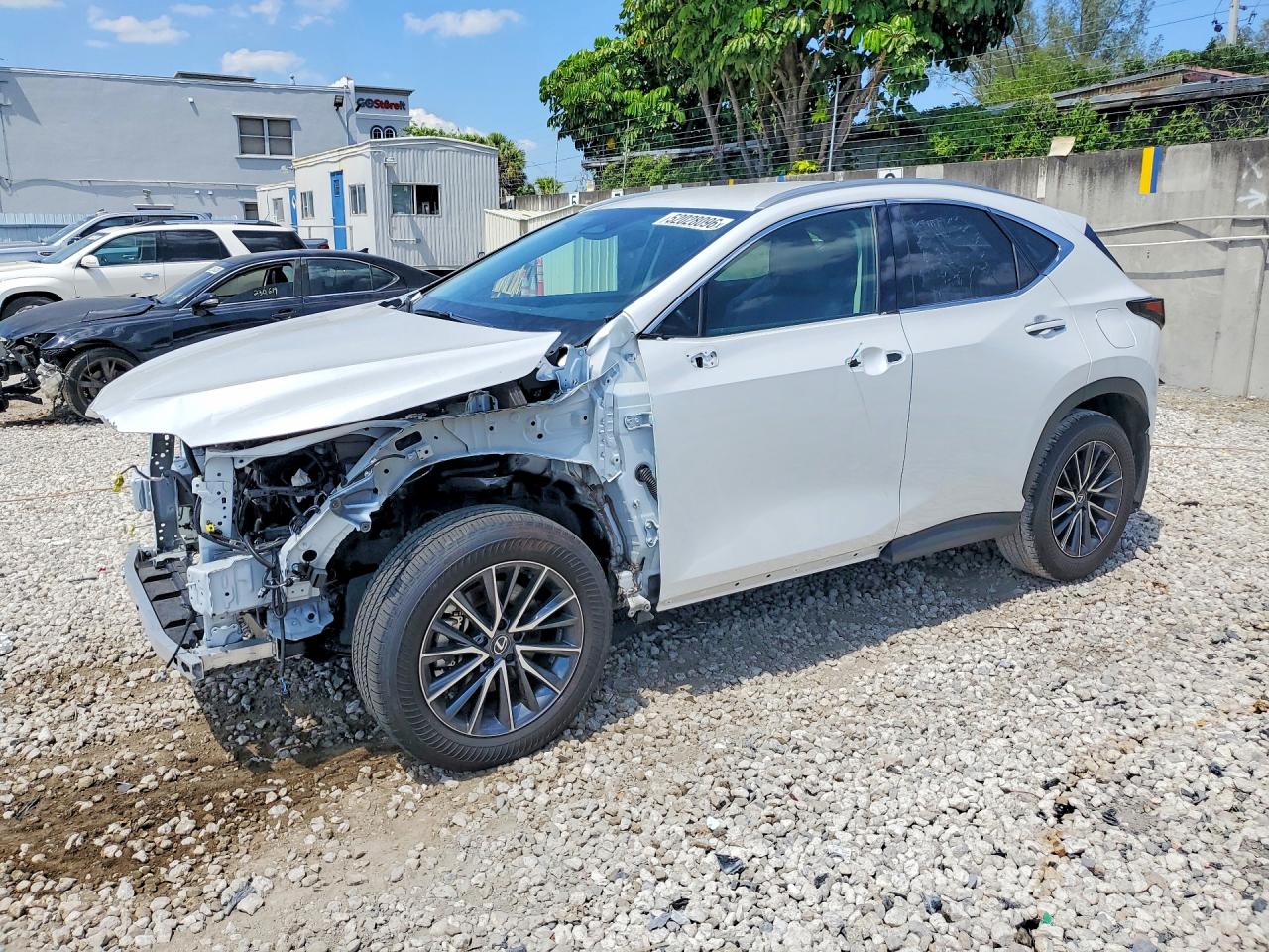 2025 LEXUS NX 250 BASE