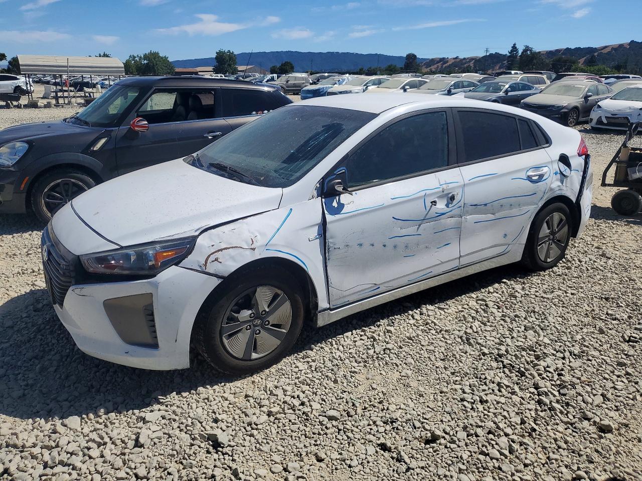2019 HYUNDAI IONIQ BLUE