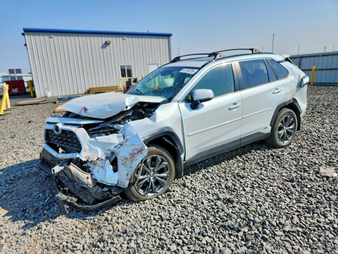 2024 TOYOTA RAV4 XLE PREMIUM