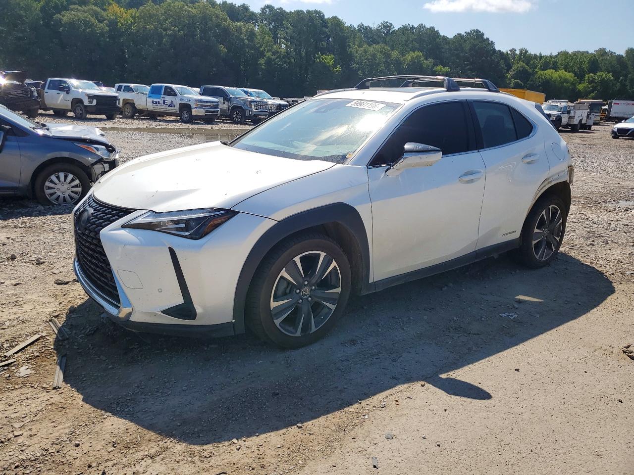 2019 LEXUS UX 250H