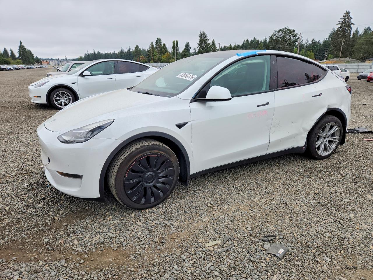 2022 TESLA MODEL Y