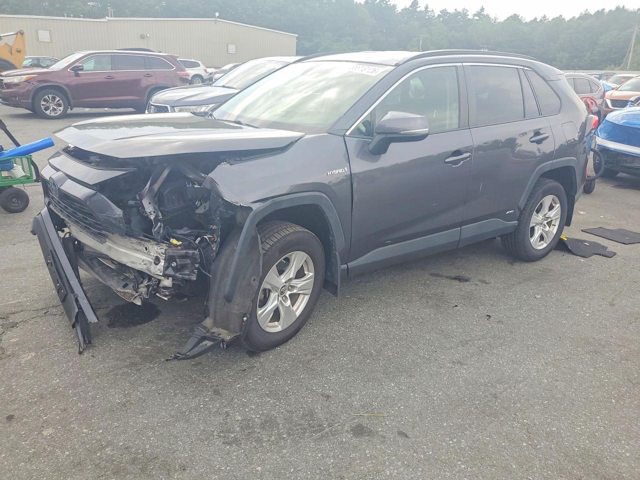 2019 TOYOTA RAV4 LE