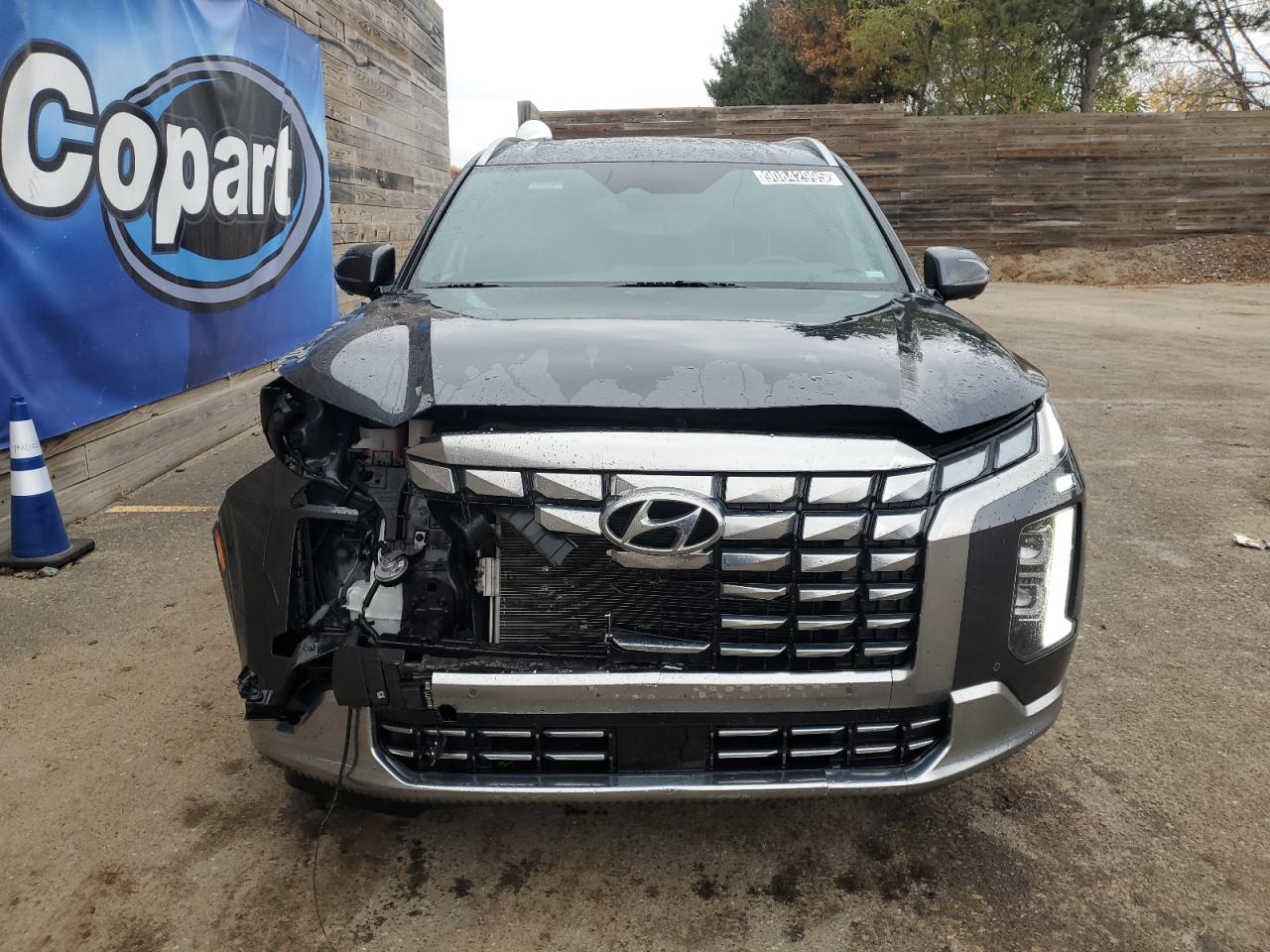 2025 HYUNDAI PALISADE CALLIGRAPHY — снимка 5