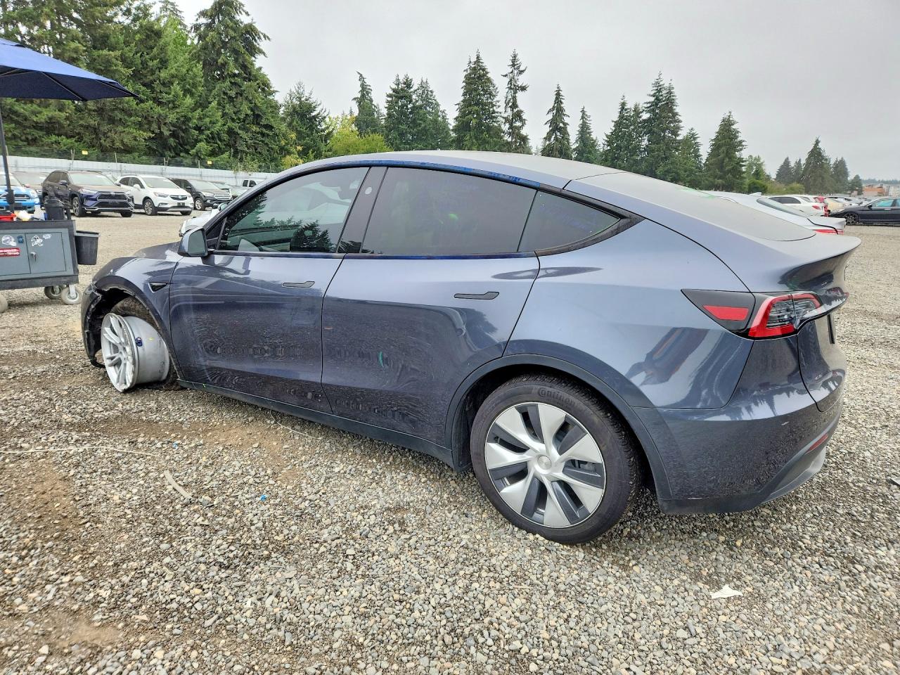 2023 TESLA MODEL Y — снимка 2