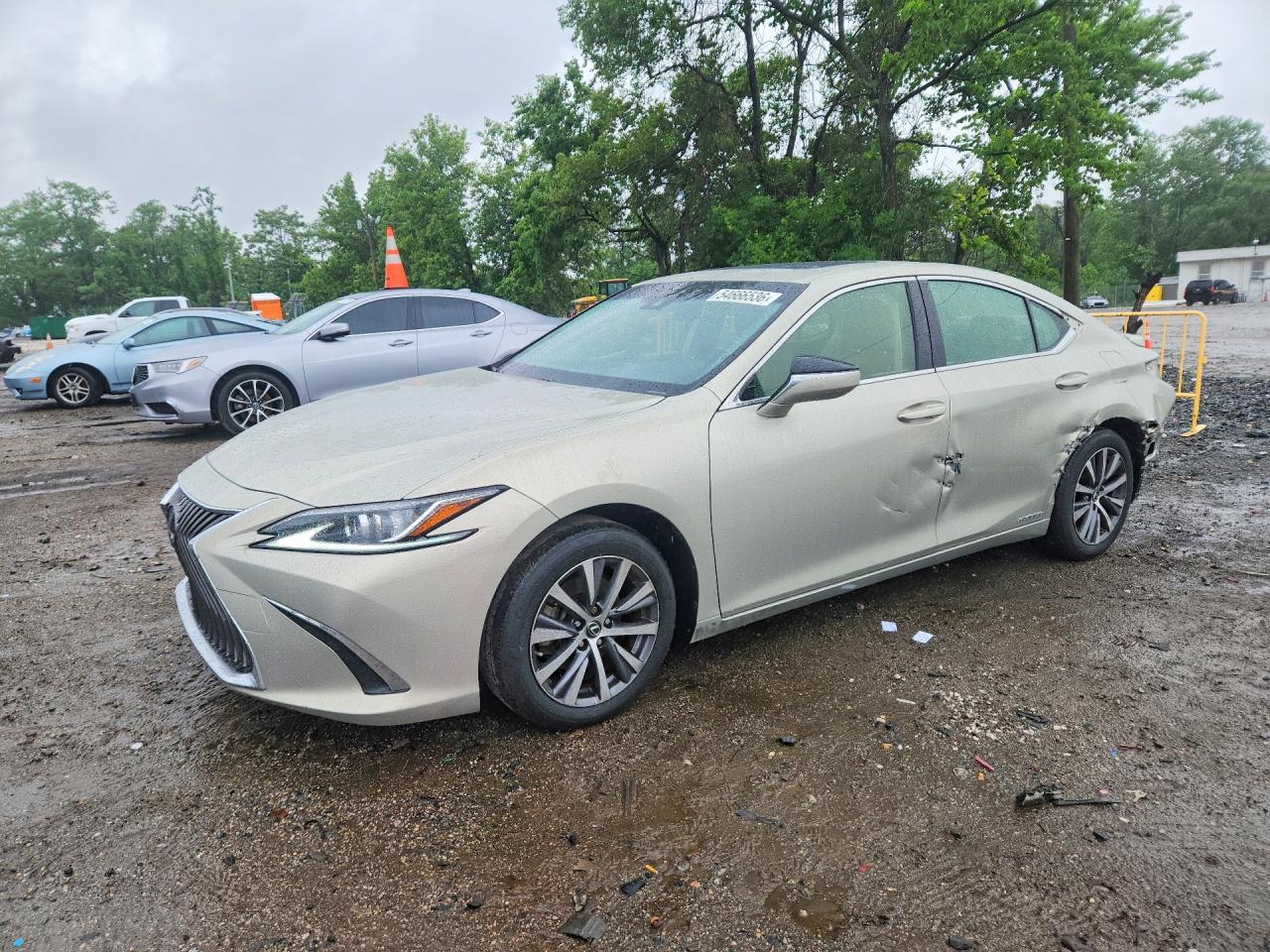 2019 LEXUS ES 300H
