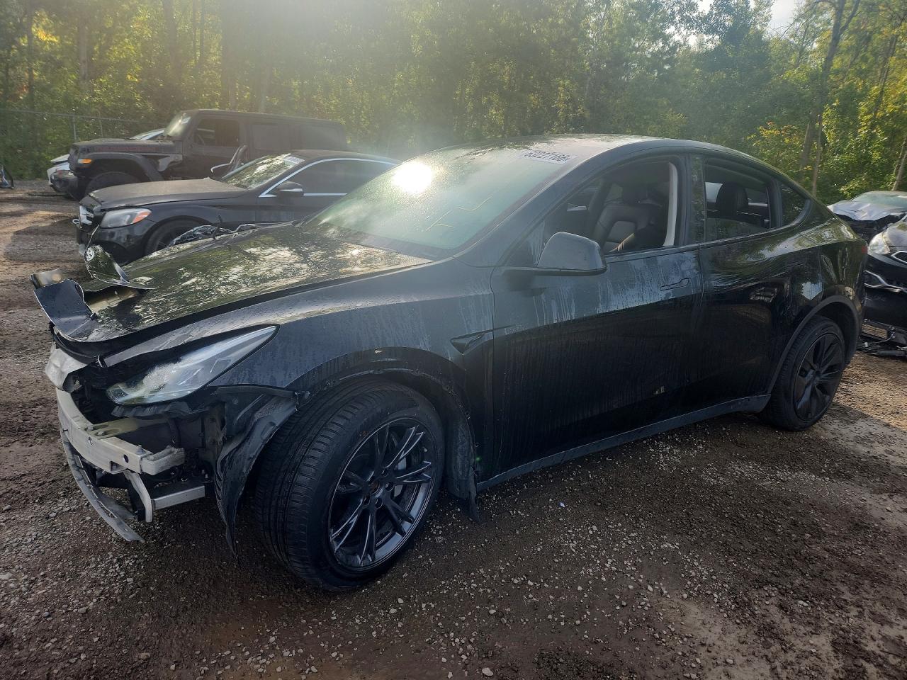 2025 TESLA MODEL Y