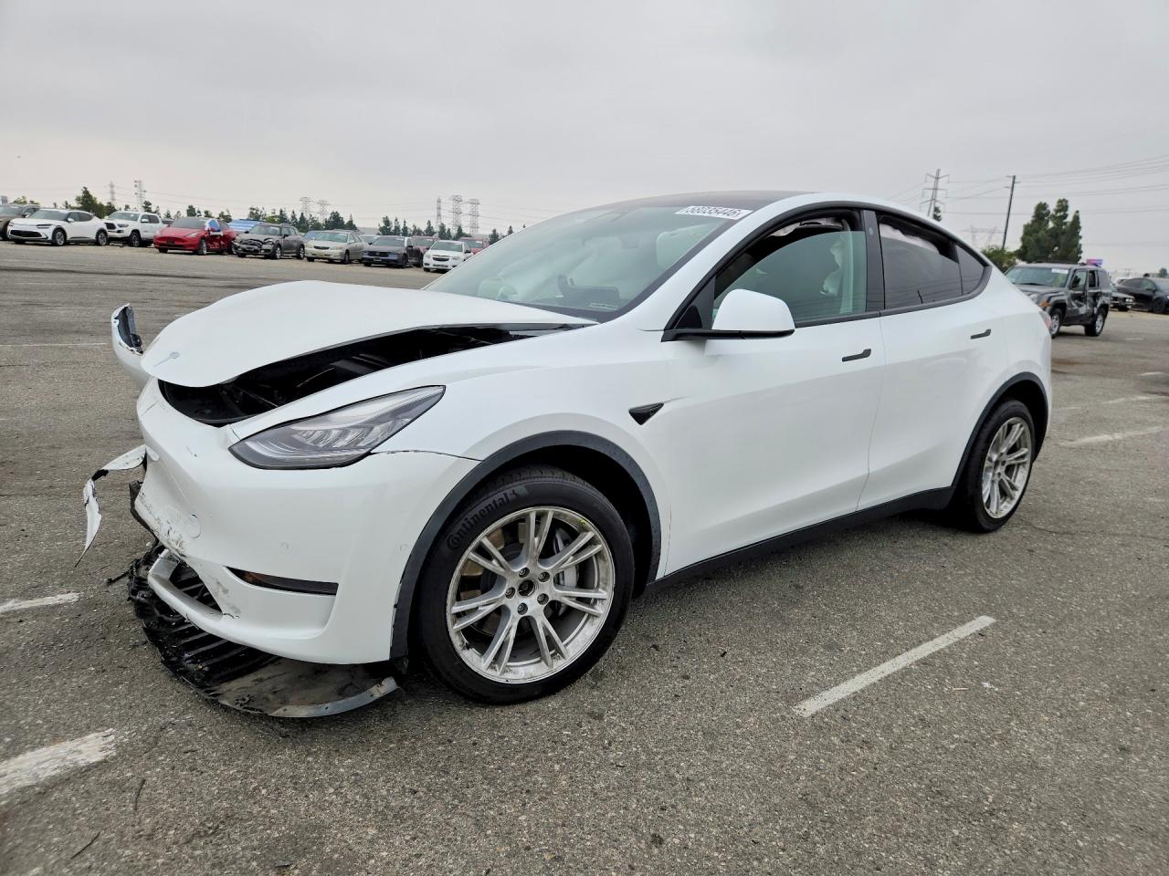 2021 TESLA MODEL Y