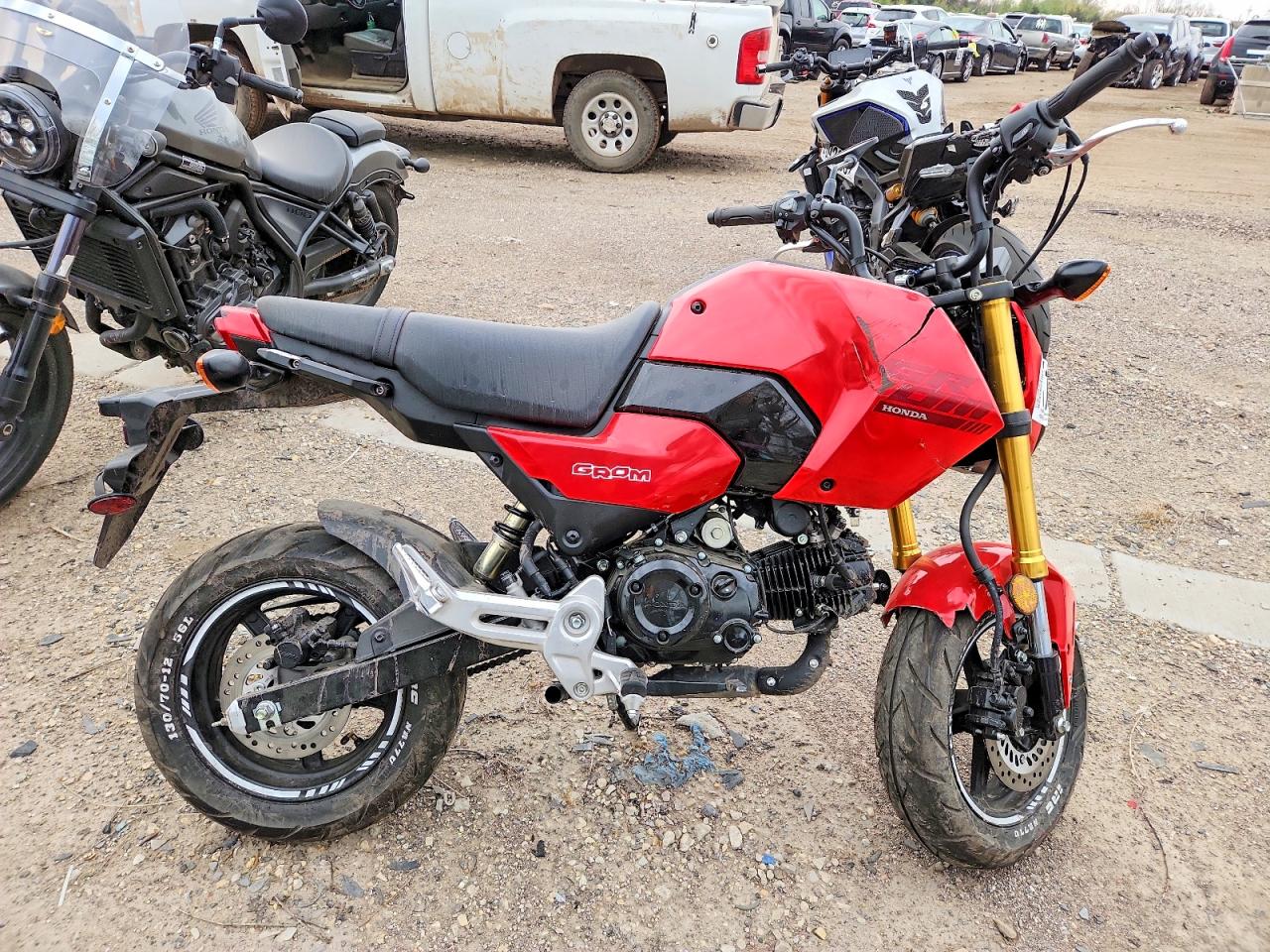 2025 HONDA GROM 125