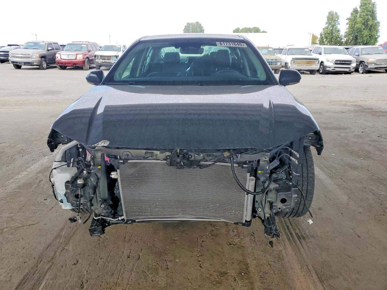 2025 TOYOTA CAMRY XLE — снимка 5