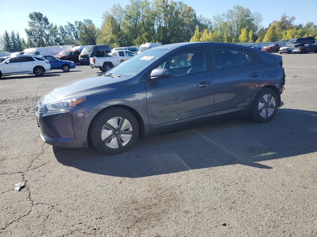 2019 HYUNDAI IONIQ BLUE