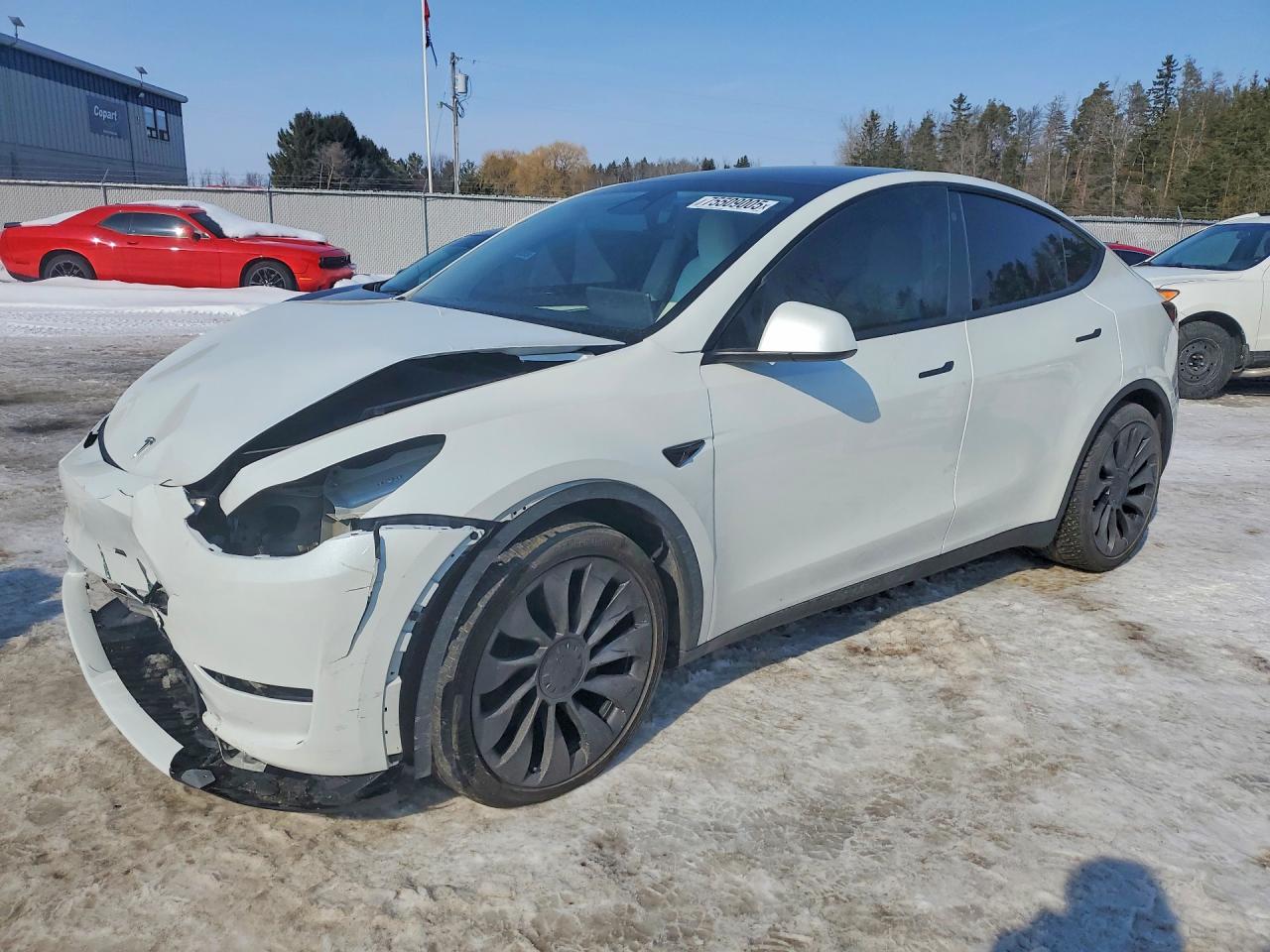 2023 TESLA MODEL Y
