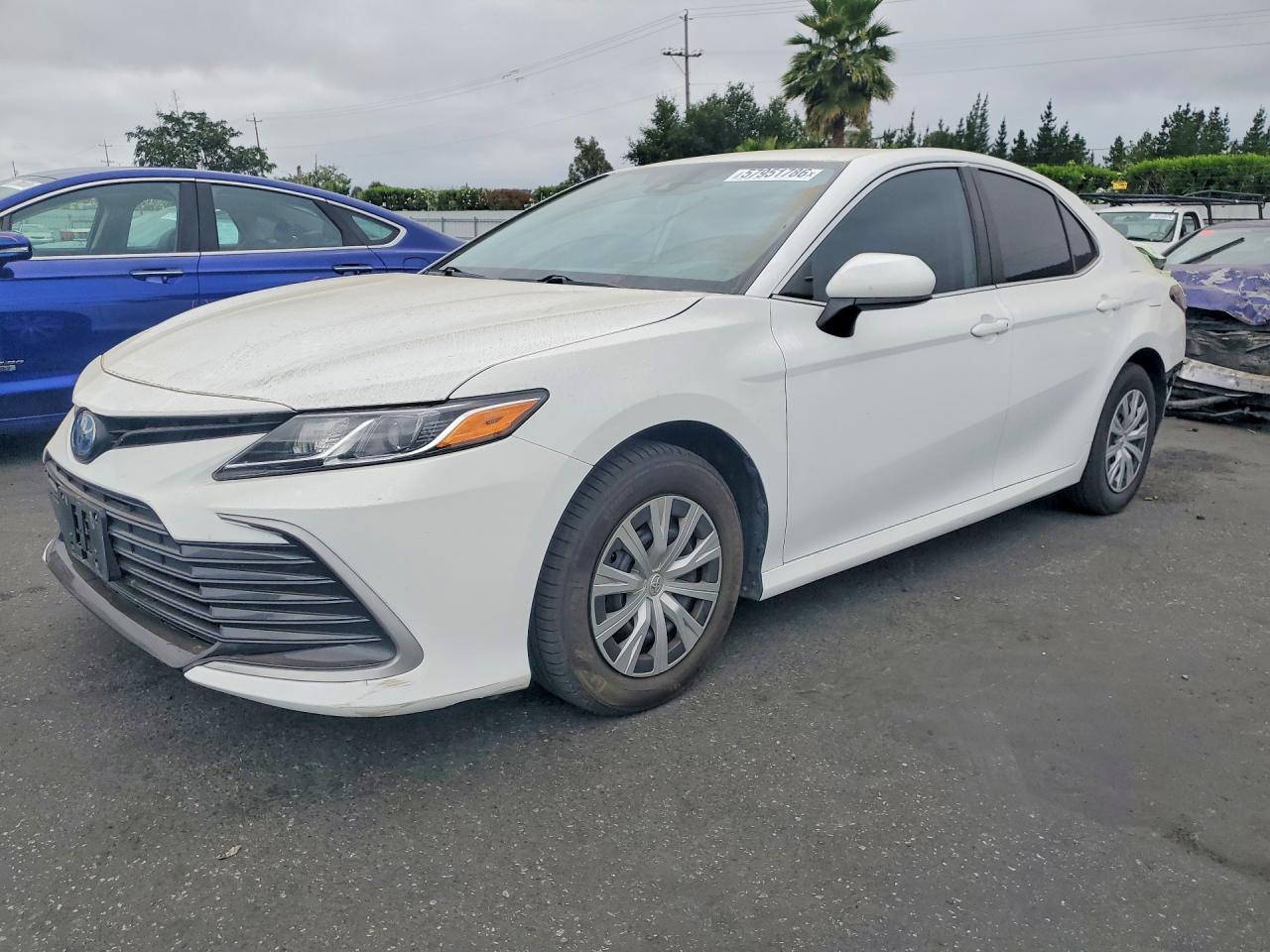 2023 TOYOTA CAMRY LE