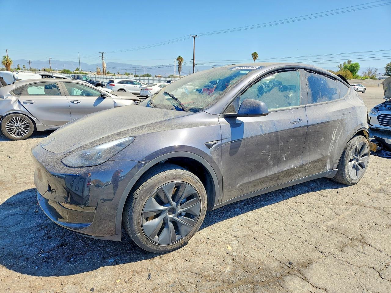 2024 TESLA MODEL Y