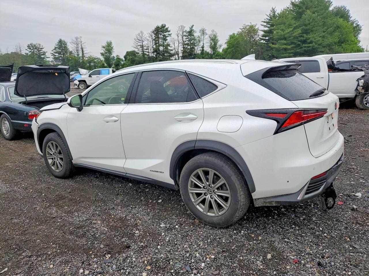 2019 LEXUS NX 300H — снимка 2
