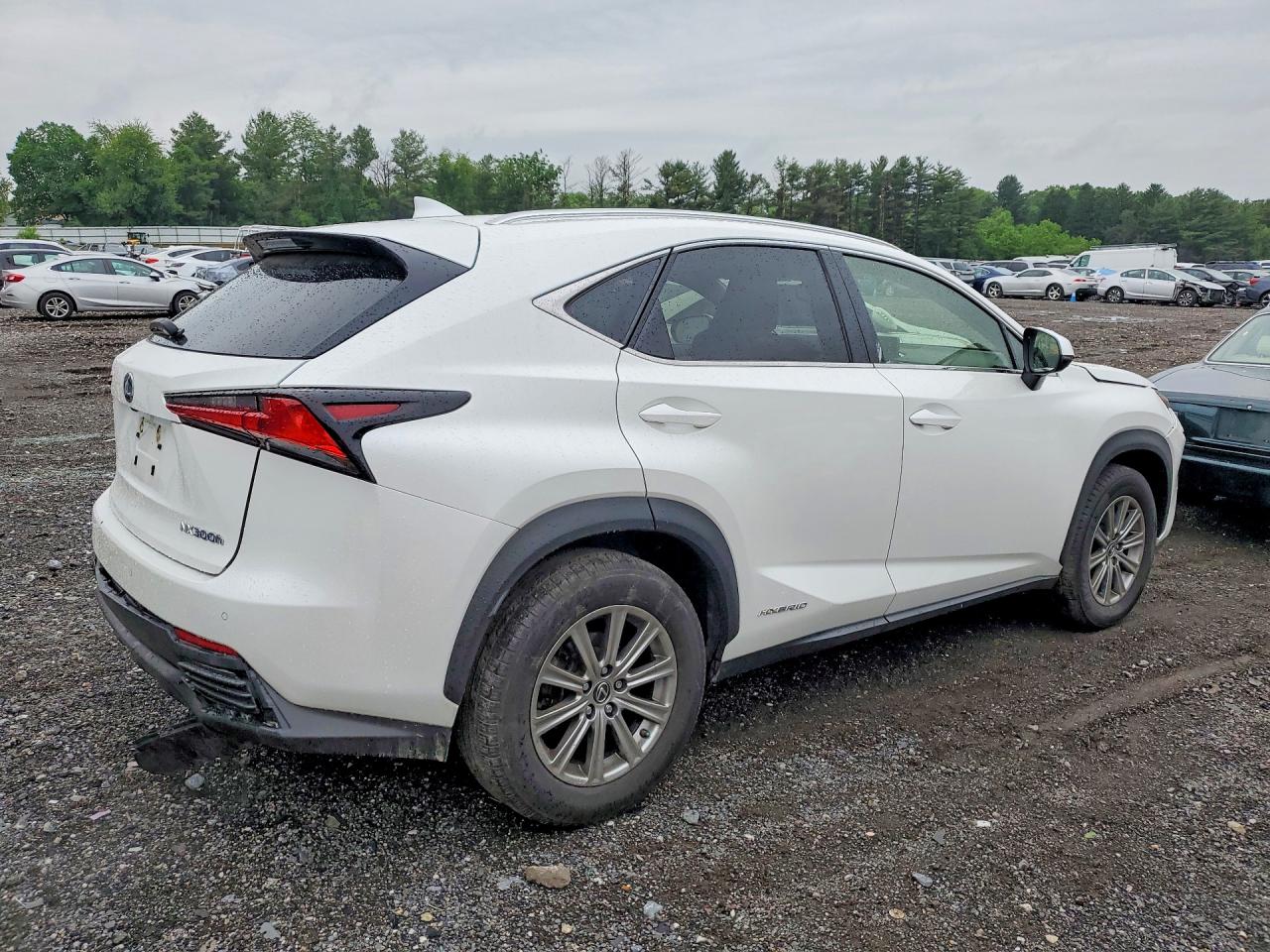 2019 LEXUS NX 300H — снимка 3