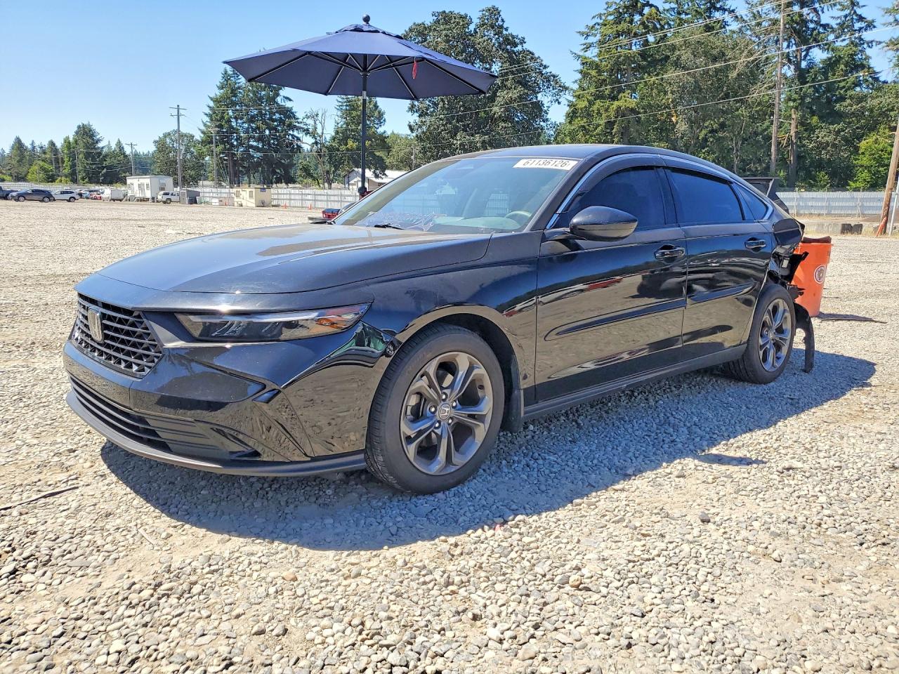 2023 HONDA ACCORD EX