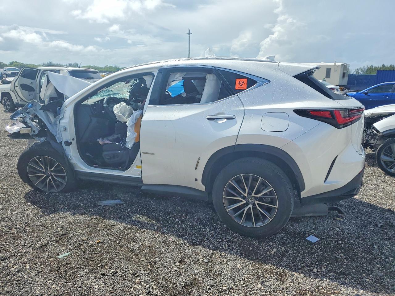 2025 LEXUS NX 250 — снимка 2