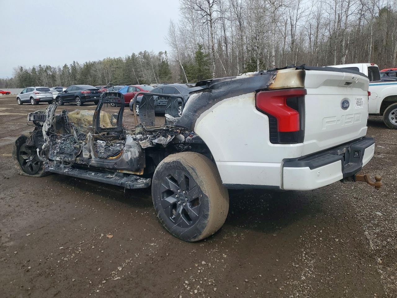 2023 FORD F150 LIGHTNING PRO — снимка 2