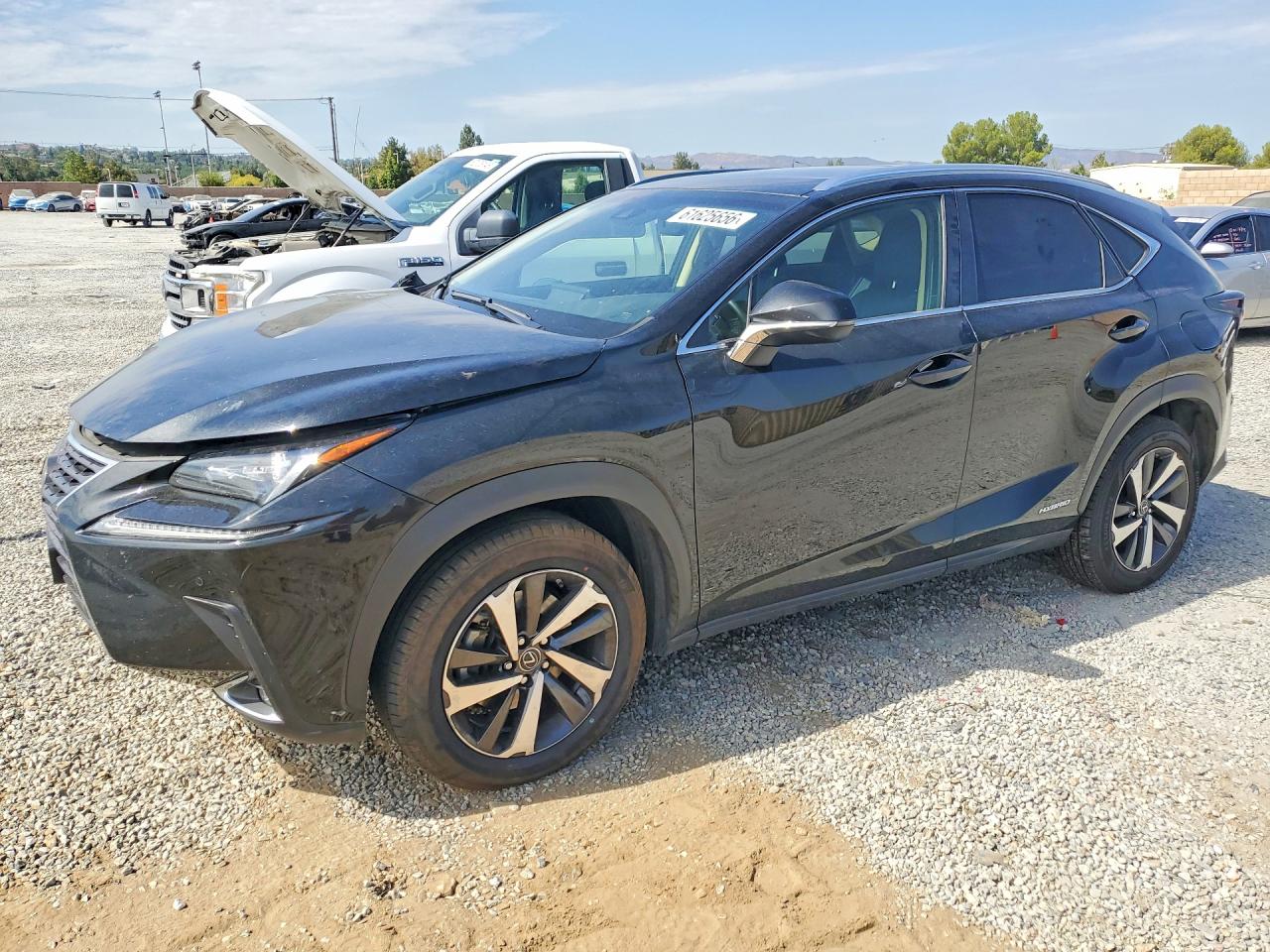 2019 LEXUS NX 300H