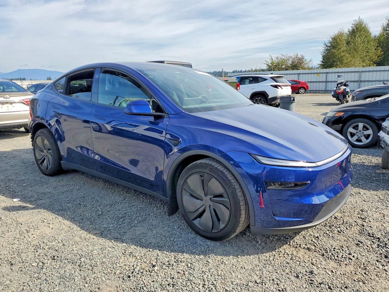 2026 TESLA MODEL Y — photo 4