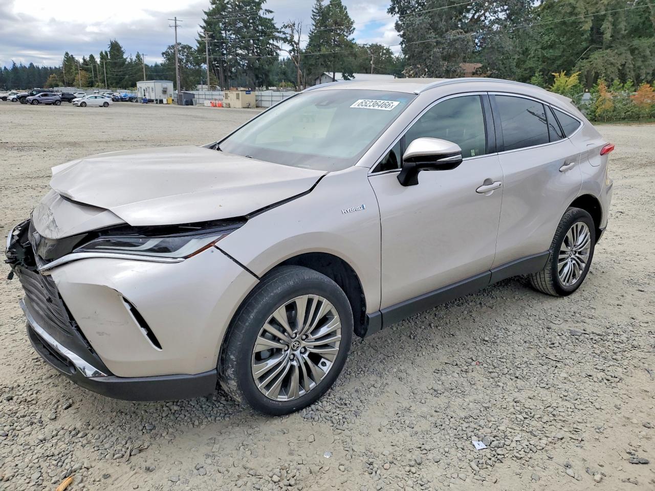 2021 TOYOTA VENZA XLE