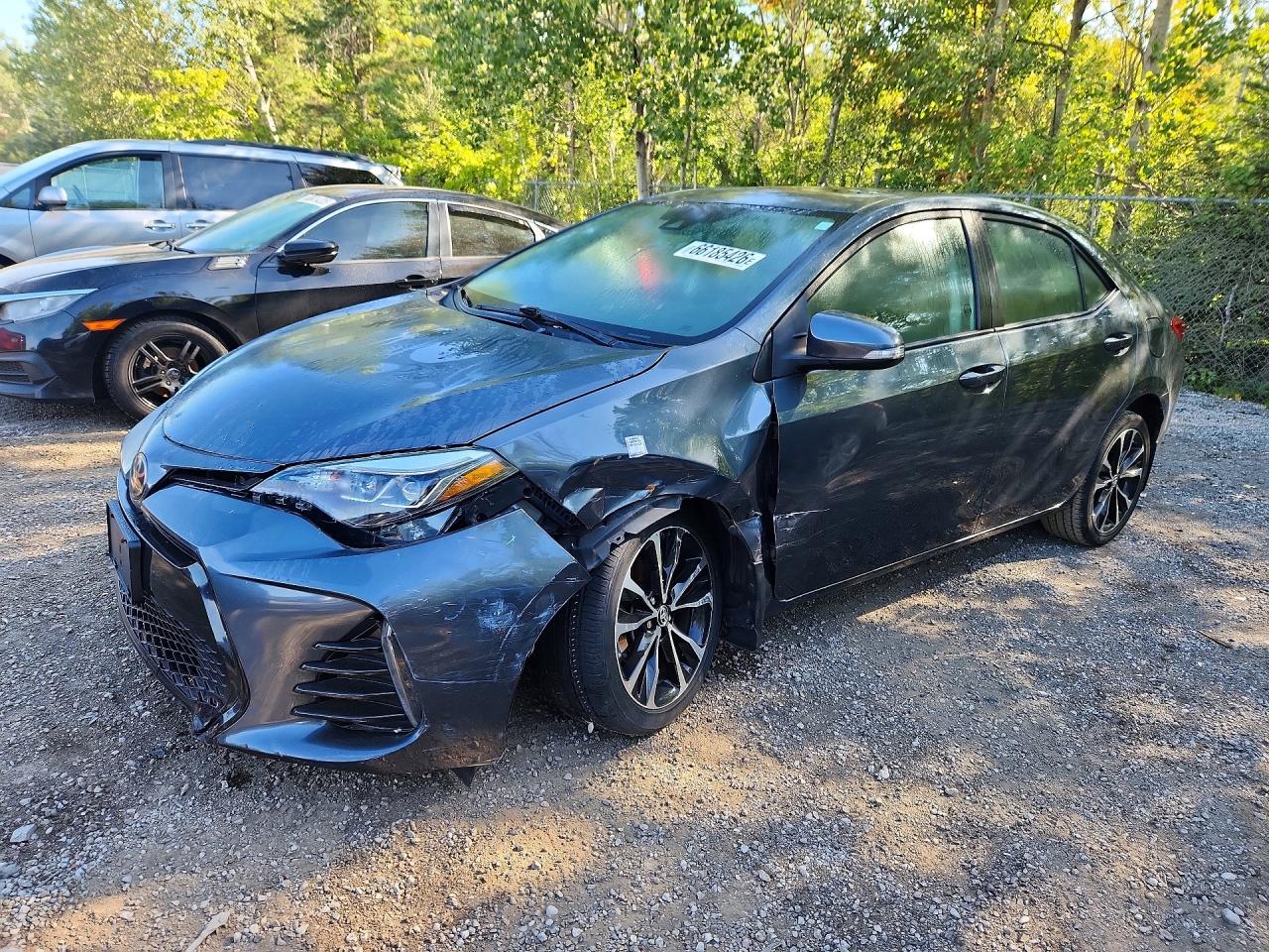 2019 TOYOTA COROLLA L