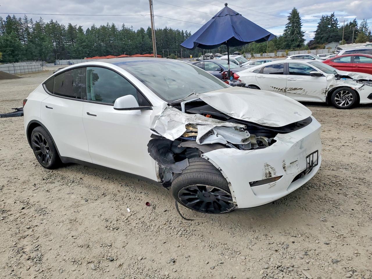 2023 TESLA MODEL Y — снимка 4