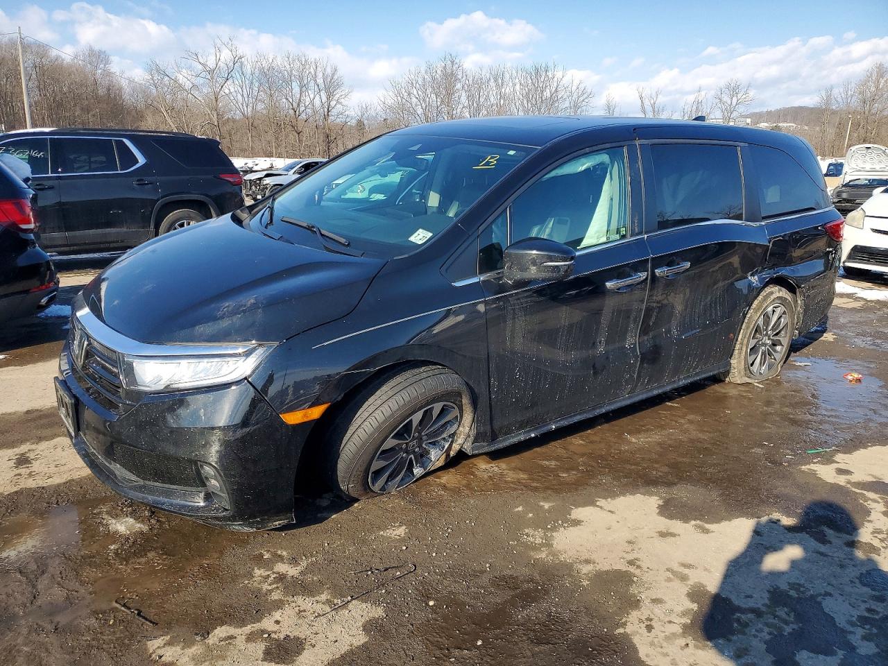2023 HONDA ODYSSEY EXL