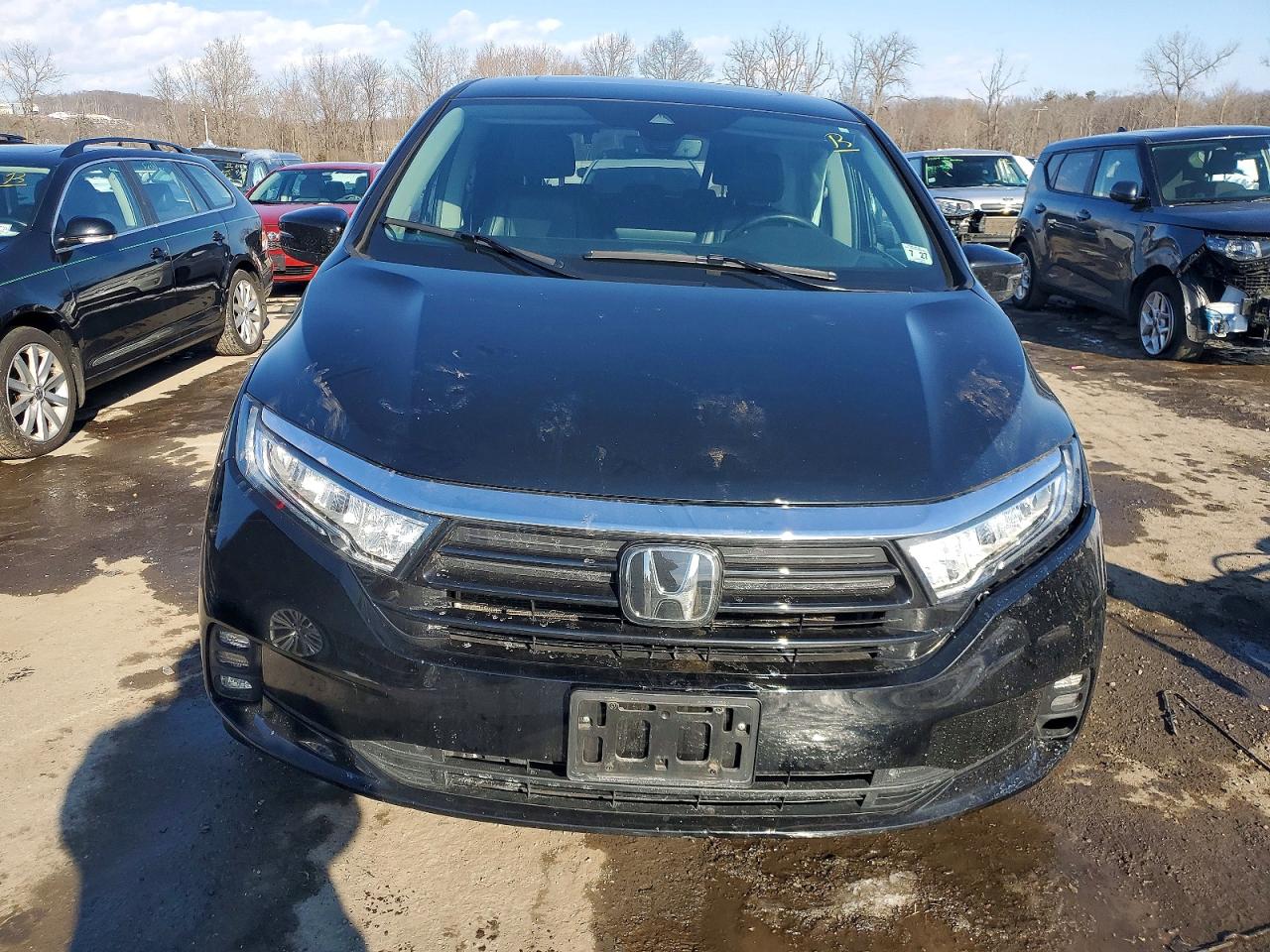 2023 HONDA ODYSSEY EXL — снимка 5