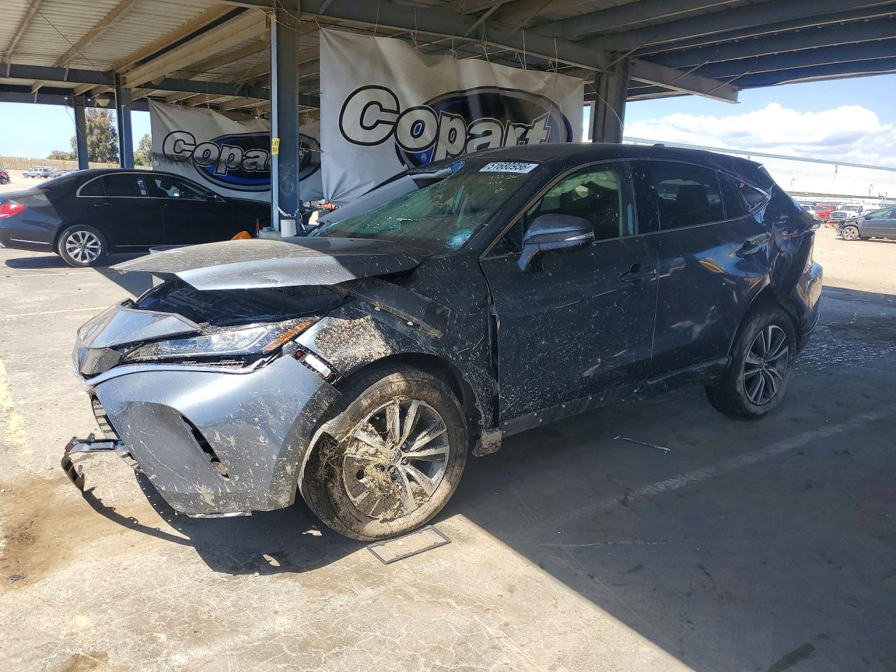 2022 TOYOTA VENZA