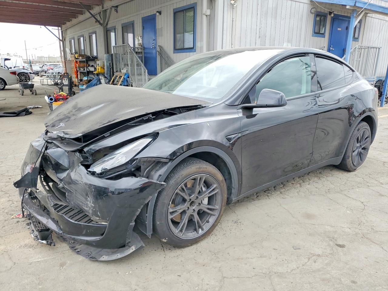 2024 TESLA MODEL Y