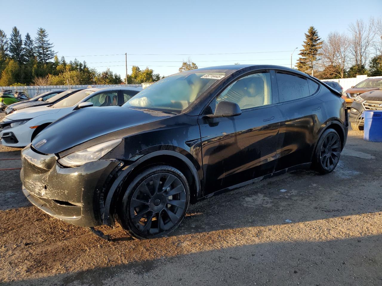 2021 TESLA MODEL Y