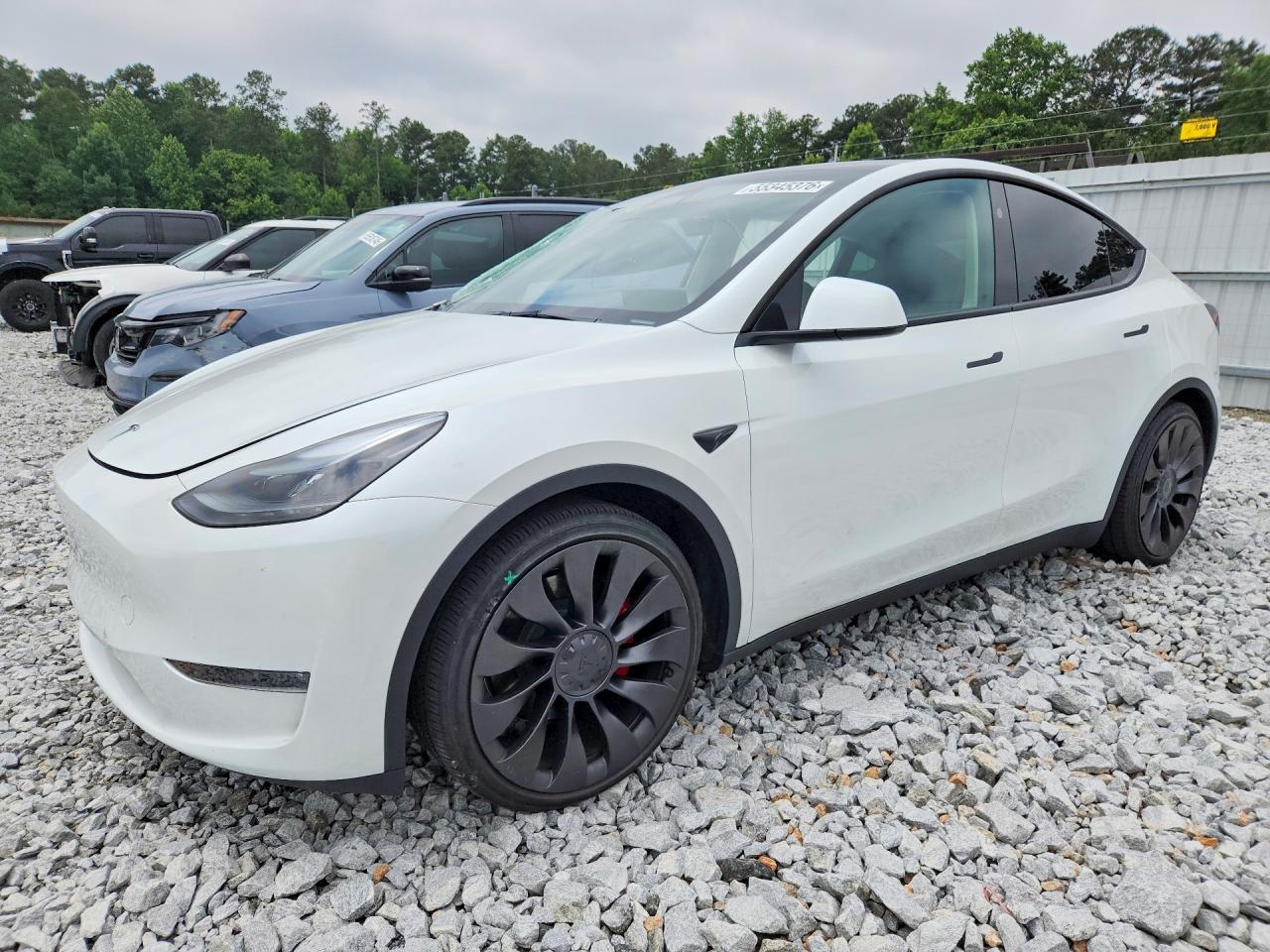 2025 TESLA MODEL Y