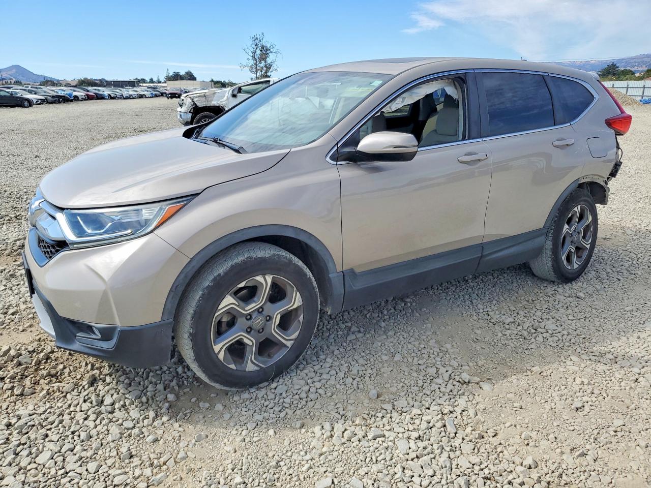 2019 HONDA CR-V EX