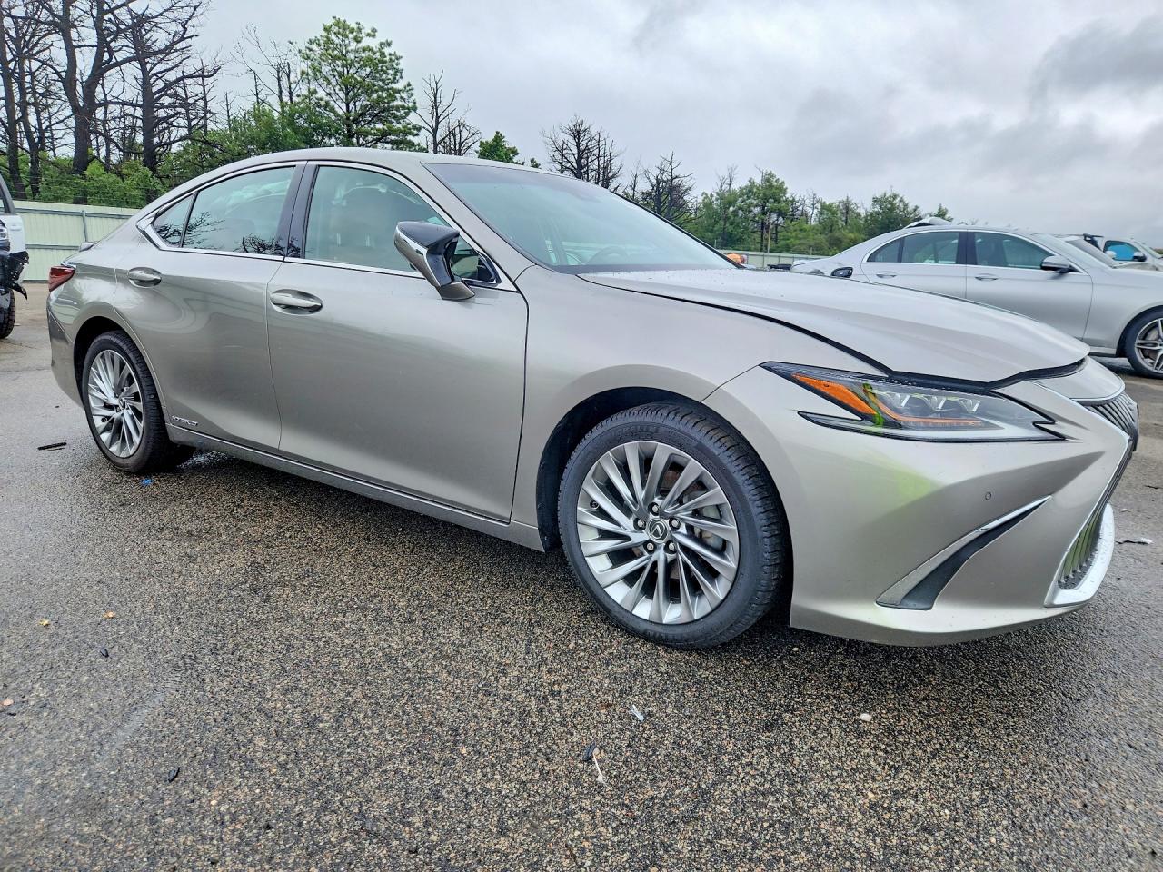 2019 LEXUS ES 300H — снимка 4