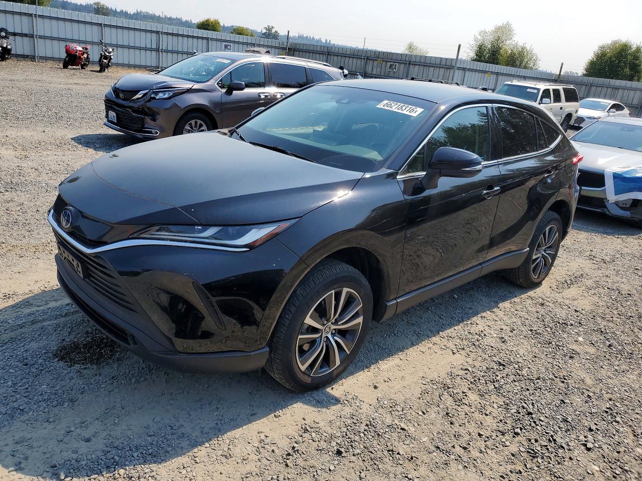 2023 TOYOTA VENZA LE