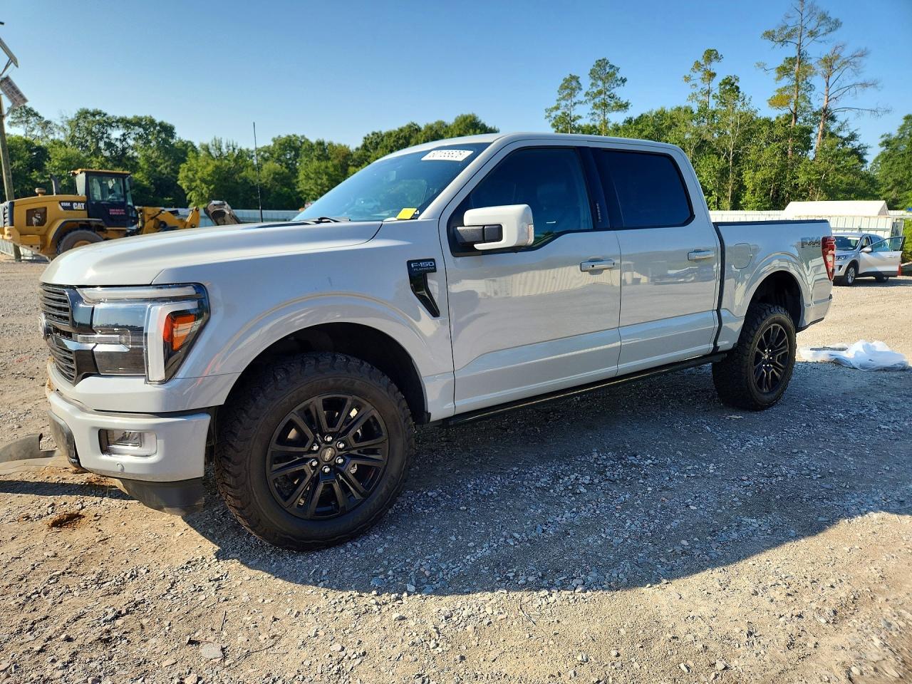 2024 FORD F150 PLATINUM
