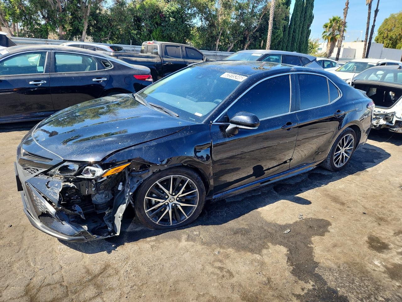 2024 TOYOTA CAMRY SE