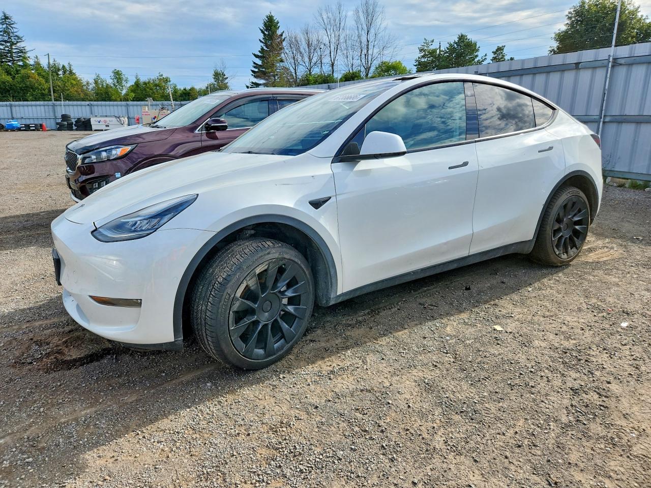 2022 TESLA MODEL Y